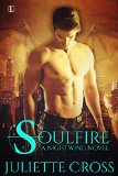 Soulfire (Nightwing series Book 1) by Juliette Cross
