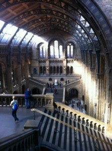 Tour 5main hall at NHM
